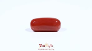 Red Coral - 7.95 Carat