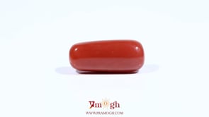 Red Coral - 9 Carat