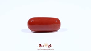 Red Coral - 8.5 Carat