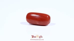 Red Coral - 8.7 Carat