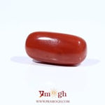 Red Coral - 8.7 Carat