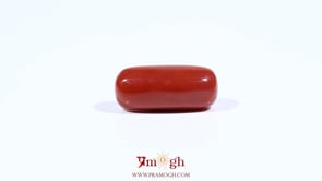 Red Coral - 7.35 Carat