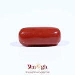 Red Coral - 7.35 Carat