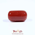 Red Coral - 9.7 Carat