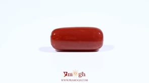 Red Coral - 9.35 Carat