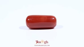 Red Coral - 11.45 Carat