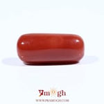 Red Coral - 11.45 Carat