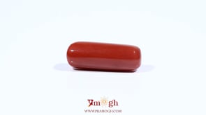 Red Coral - 7.7 Carat