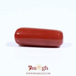 Red Coral - 7.7 Carat