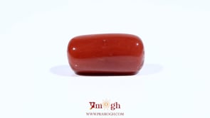 Red Coral - 13.75 Carat