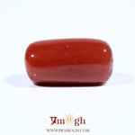 Red Coral - 13.75 Carat