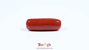 Red Coral - 8.8 Carat