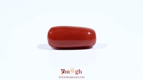 Red Coral - 8.9 Carat