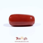 Red Coral - 8.9 Carat