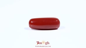 Red Coral - 7.2 Carat