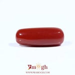 Red Coral - 7.2 Carat