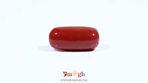 Red Coral - 9.25 Carat