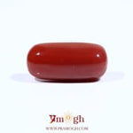 Red Coral - 9.25 Carat