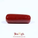 Red Coral - 7.3 Carat