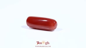 Red Coral - 7.35 Carat