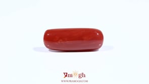 Red Coral - 8.8 Carat