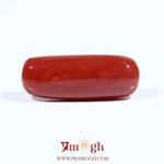Red Coral - 8.8 Carat