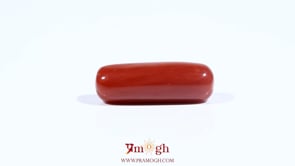 Red Coral - 8.3 Carat