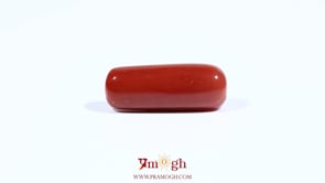 Red Coral - 8.25 Carat