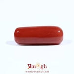 Red Coral - 8.25 Carat