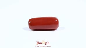 Red Coral - 8.4 Carat