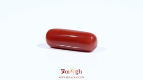 Red Coral - 7.75 Carat