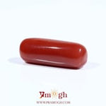 Red Coral - 7.75 Carat