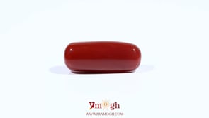 Red Coral - 7.95 Carat