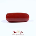 Red Coral - 7.95 Carat