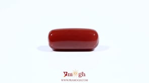 Red Coral - 8.25 Carat