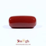 Red Coral - 8.25 Carat