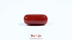 Red Coral - 8.6 Carat