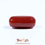 Red Coral - 8.6 Carat