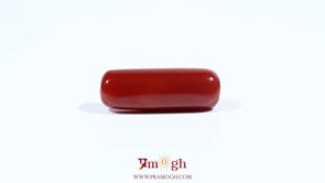 Red Coral - 7.2 Carat