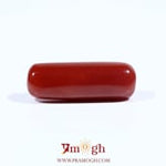 Red Coral - 7.2 Carat