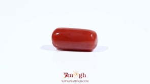 Red Coral - 7.05 Carat