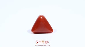 Red Coral - 5.9 Carat