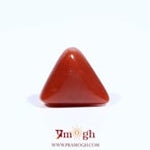 Red Coral - 5.9 Carat