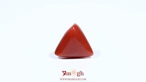 Red Coral - 6 Carat