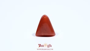 Red Coral - 5.55 Carat