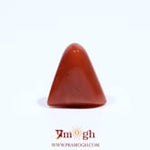 Red Coral - 5.55 Carat