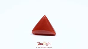 Red Coral - 5.6 Carat