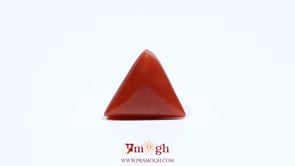 Red Coral - 5.7 Carat