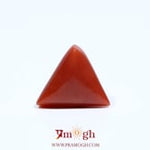 Red Coral - 5.7 Carat