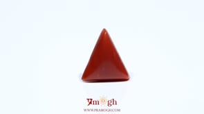 Red Coral - 5.55 Carat